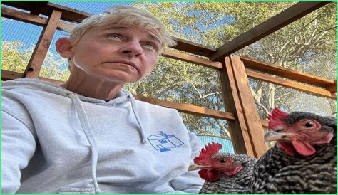 Brie Shafer: A Comprehensive Look At Her Life And Career