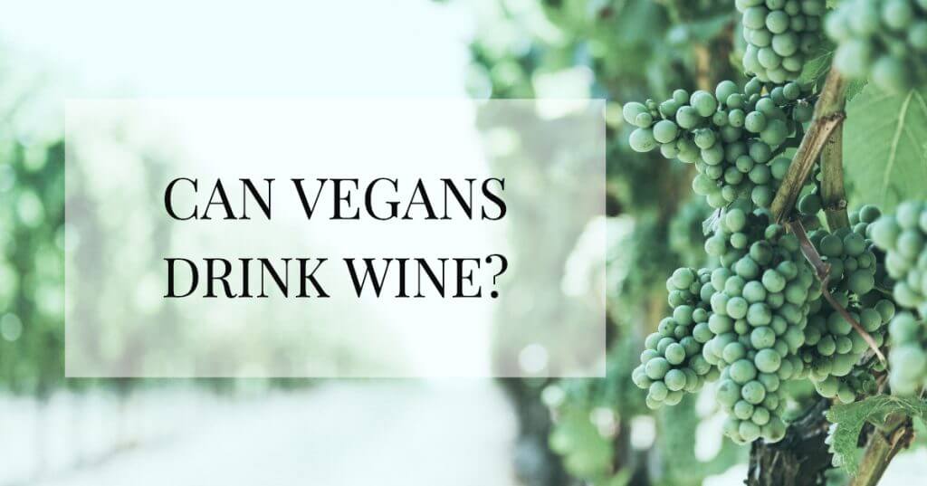 Why are there animal products in wine?