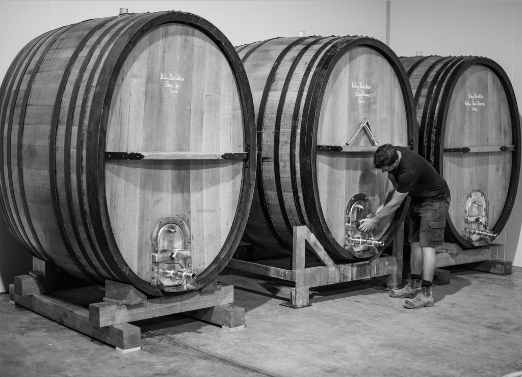 Testalonga wines and barrels 
