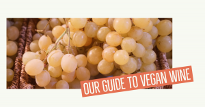 Our Guide to Vegan Wine
